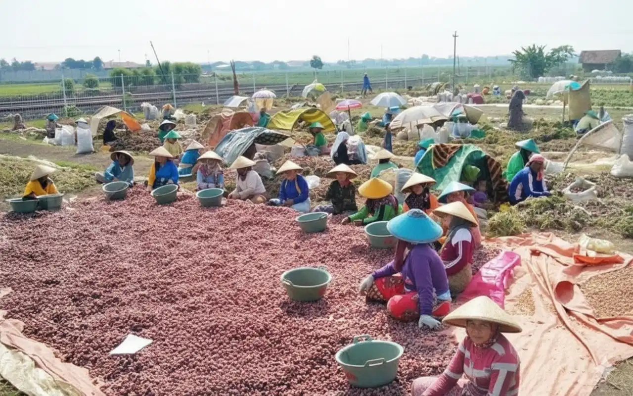 Lapak Bawang Luwungragi