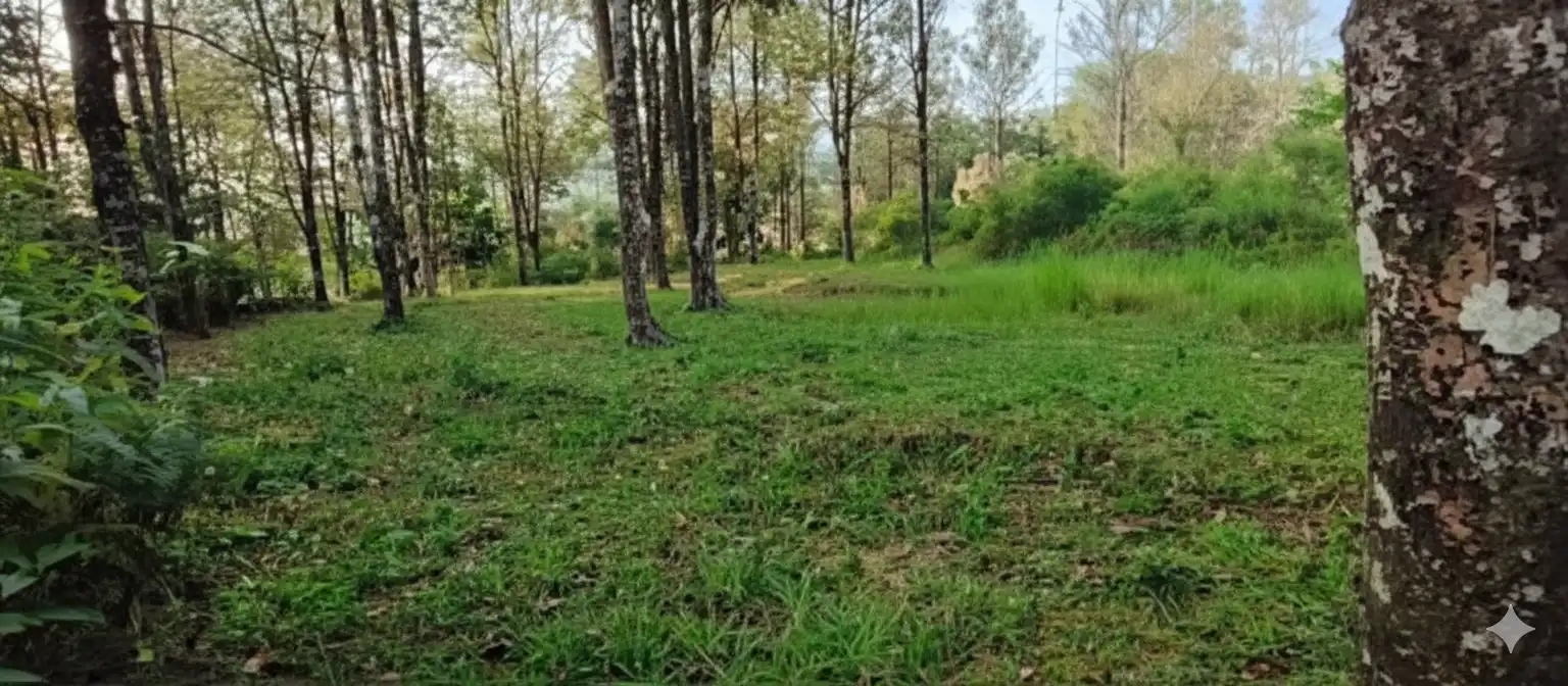 Perkebunan Cengkeh Bumijawa